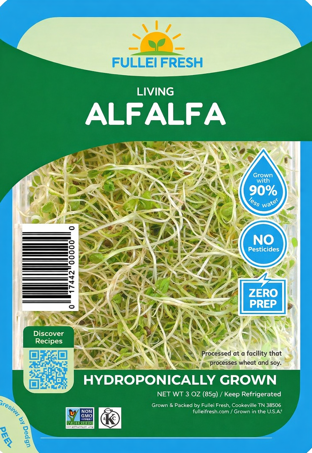Alfalfa Sprouts